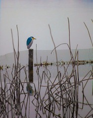20110216-IMG_2013