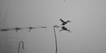 20110216-IMG_2008