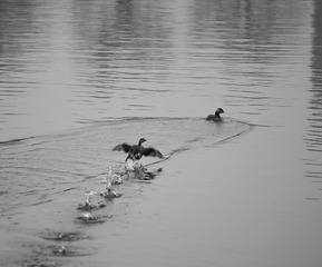 20110216-IMG_2003