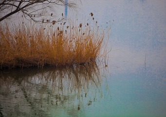 20110216-IMG_2001