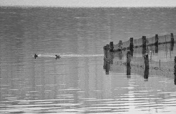 20110216-IMG_1997