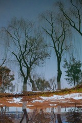20110216-IMG_1983