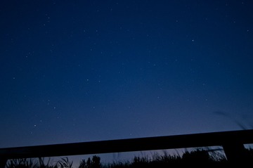DSC_0290-1_pt