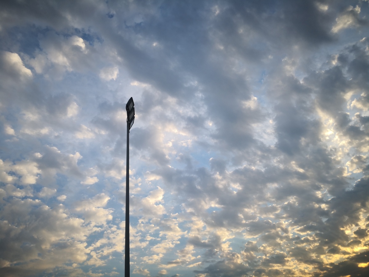 五年二班王乐乐