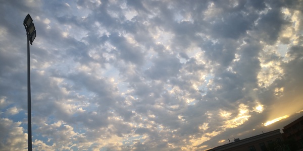 五年二班王乐乐|图虫