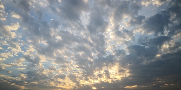 五年二班王乐乐|图虫