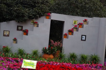 花墙.JPG