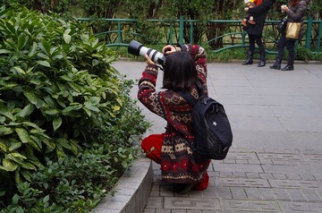 抓拍.JPG