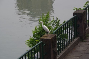 IMGP1761.JPG