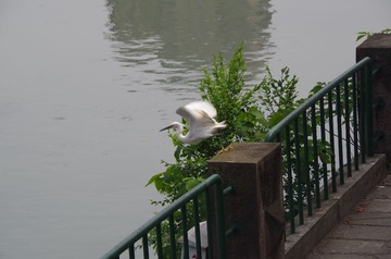 IMGP1764.JPG
