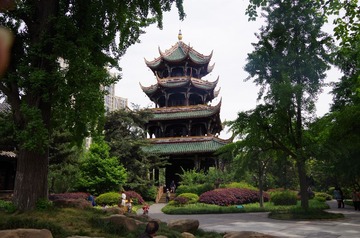 IMGP1787.JPG