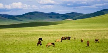 WDM_4389.jpg