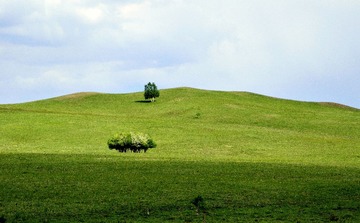 WDM_4863