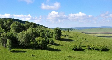 WDM_5090