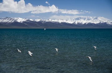 掠海