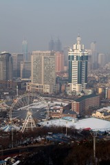 IMG_2868.jpg