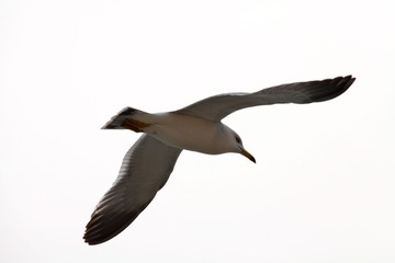 IMG_3858.jpg
