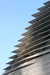 IMG_4280.jpg