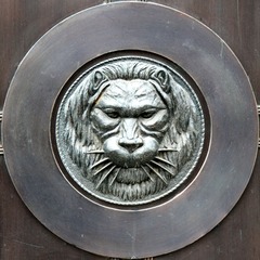 IMG_3697.jpg