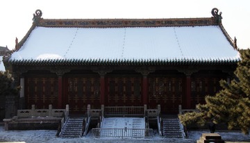 IMG_3065.jpg