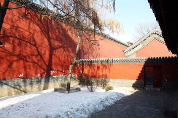 IMG_3106.jpg