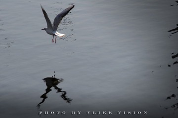 DSC_3097.JPG