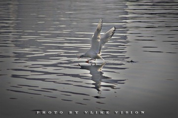 DSC_3207.jpg