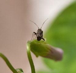 IMG_0094.jpg