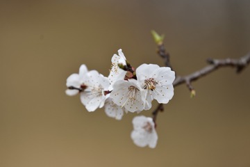 1905160
