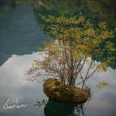 Lunber_20130930_06834