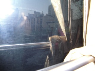 CIMG0055.JPG