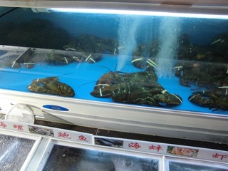 CIMG0109.JPG