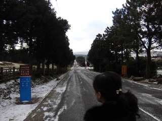 CIMG0116.JPG