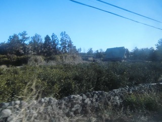 CIMG0123.JPG