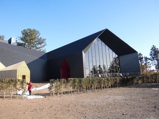 CIMG0174.JPG