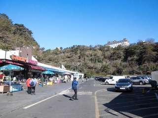CIMG0193.JPG