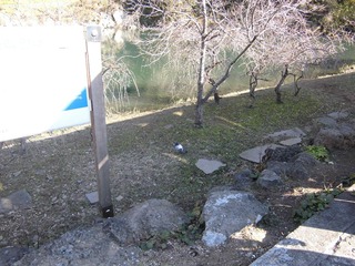 CIMG0200.JPG