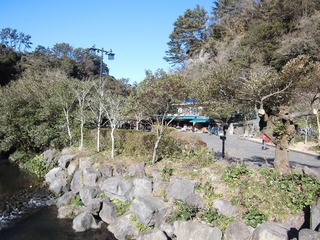 CIMG0207.JPG