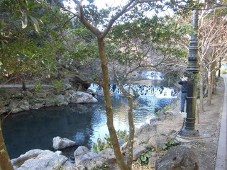 CIMG0213.JPG