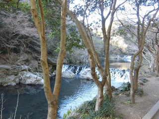 CIMG0214.JPG