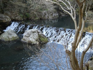 CIMG0215.JPG
