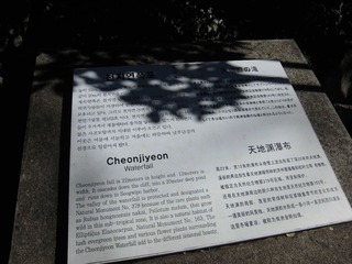 CIMG0223.JPG