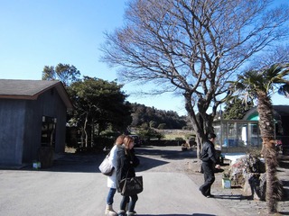 CIMG0244.JPG