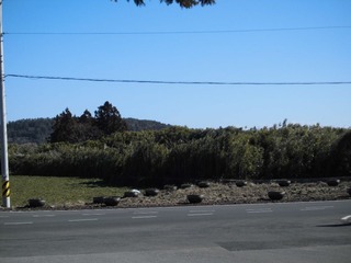 CIMG0247.JPG