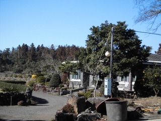 CIMG0248.JPG