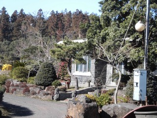 CIMG0249.JPG