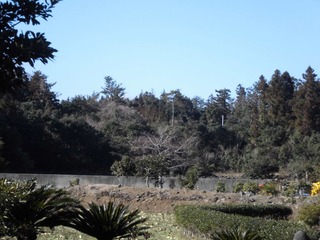 CIMG0250.JPG