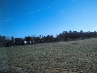 CIMG0261.JPG