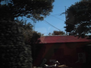 CIMG0264.JPG