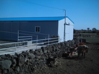CIMG0272.JPG